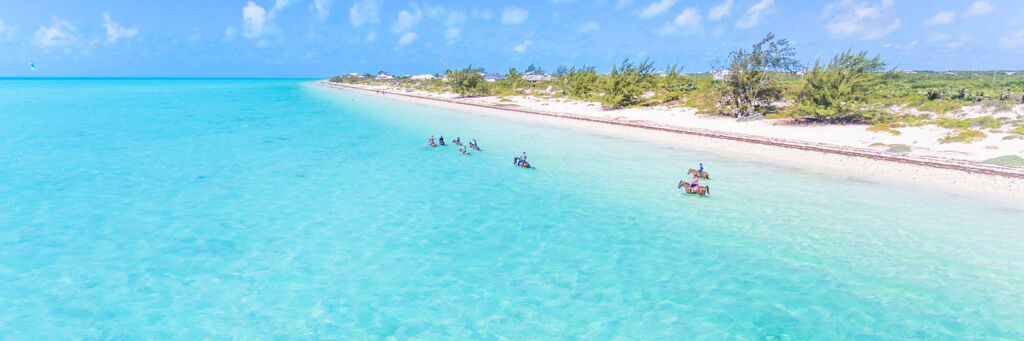 Horses and riders wading in the ocean at Long Bay Beach in the Turks and Caicos